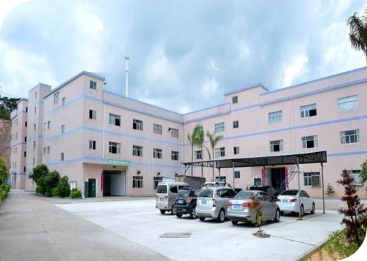 Company Profile